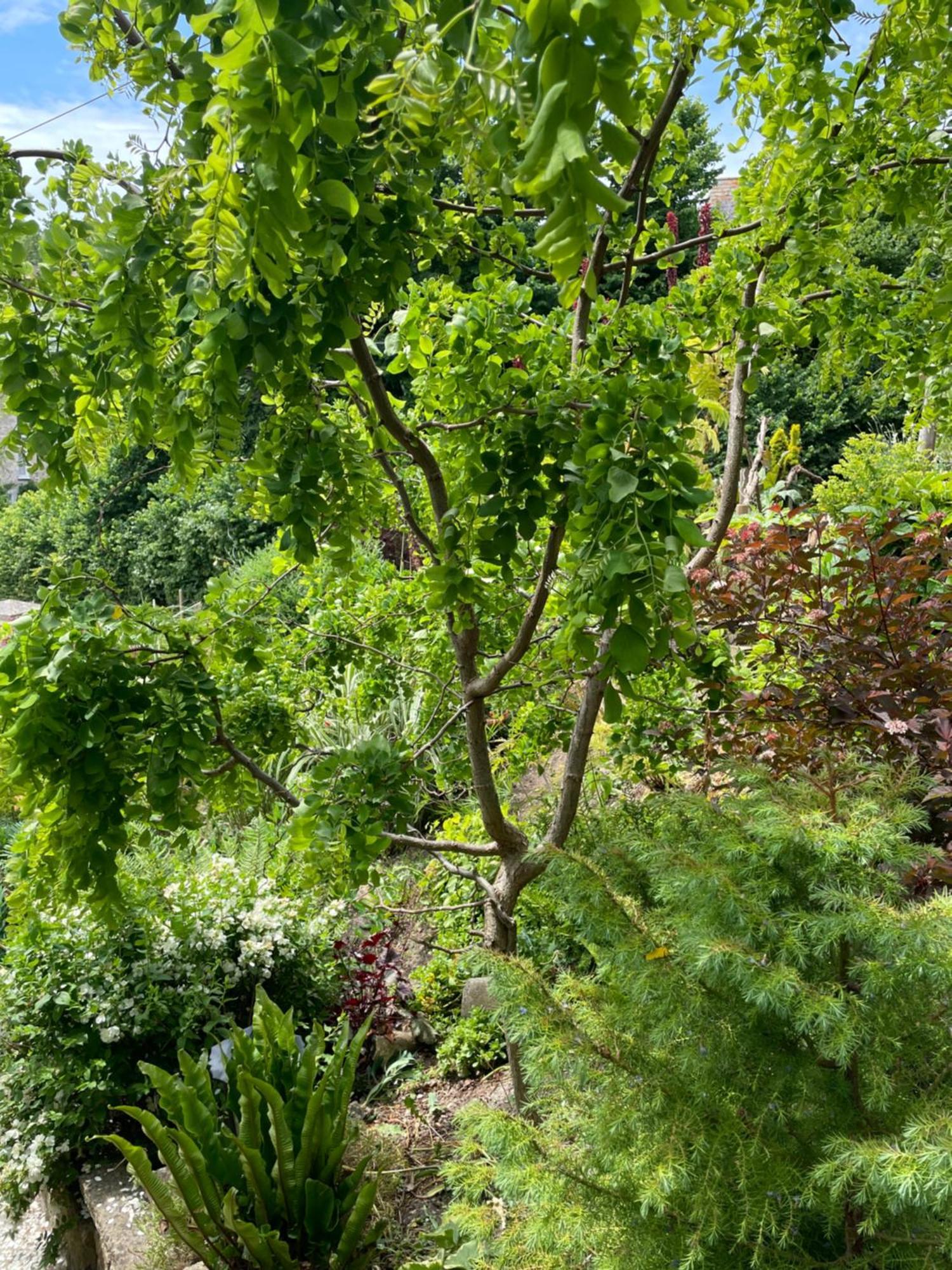 Southernhay 比尔 外观 照片